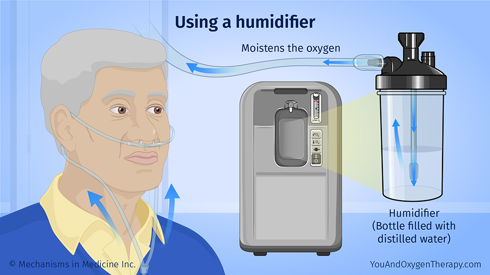 Using a humidifier