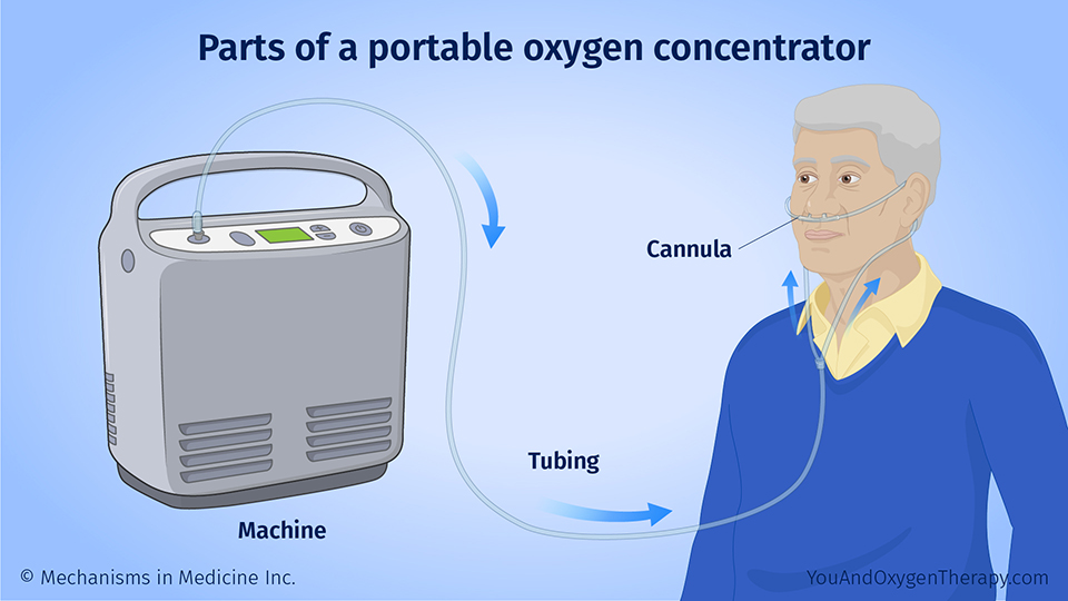 Parts of a portable oxygen concentrator