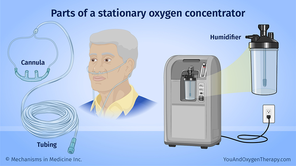 Parts of a stationary oxygen concentrator